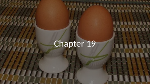 Chapters 19-21 The Handmaid's Tale