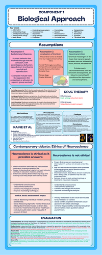 Knowledge organsier: Biological Approach