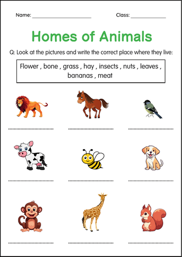 Printable Animals and Their Homes Activity Worksheets for Grade 1, 2, 3