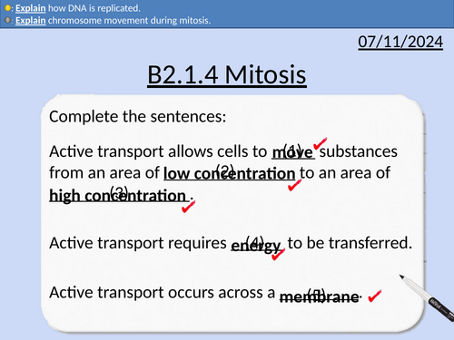 GCSE Biology: Mitosis