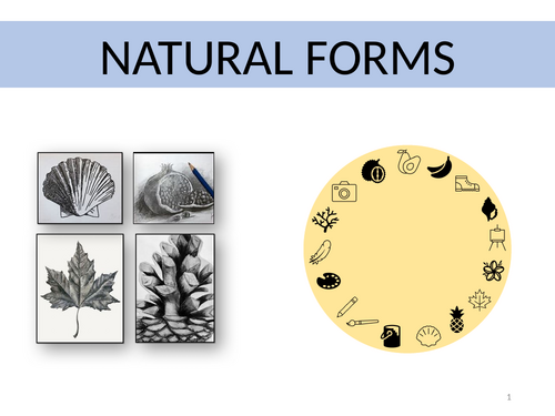 'Natural Forms' KS3, 7 week, 61 page PowerPoint with printable A6 mark slips