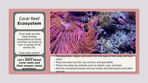 Eco system - Question and Answers Worksheet