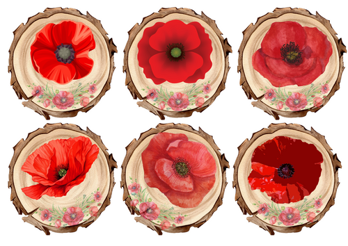 Remembrance Poppies