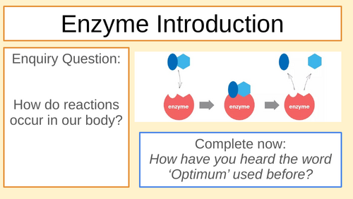 Enzymes Intro GCSE/MYP