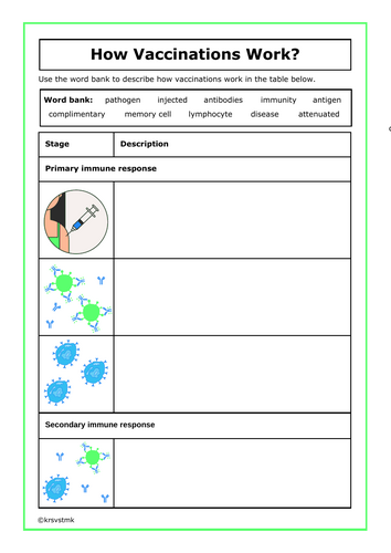 How Vaccinations Work? + Answers