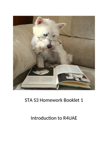 S3/ KS3/ KS4 Reading Skills Homework Booklet R4UAE RUAE