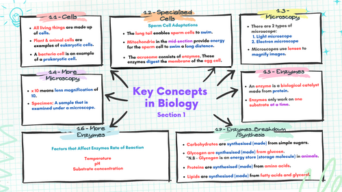 Key Concepts in Biology Mind Map - Section 1 (1.1 -1.9)