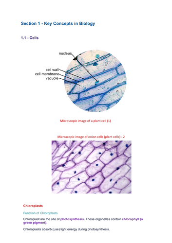 GCSE Biology Introduction