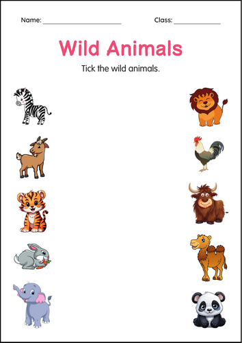 Printable Wild Animals Activity Worksheet for Grade 1, 2, 3