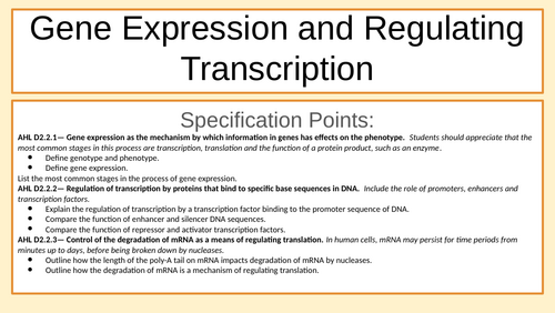 Gene Expression, Epigenetics Intro, mRNA Degradation, Transcription Factors IB HL/A-Level