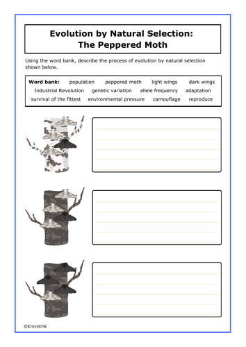 Evolution by Natural Selection: The Peppered Moth + Answers