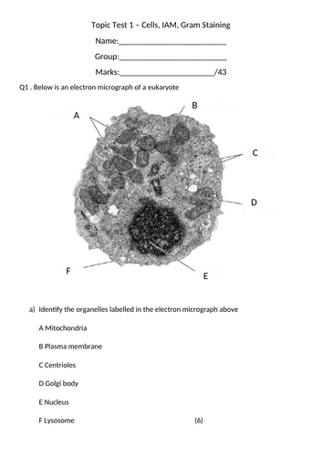 BTEC Unit 1 Biology Topic Test