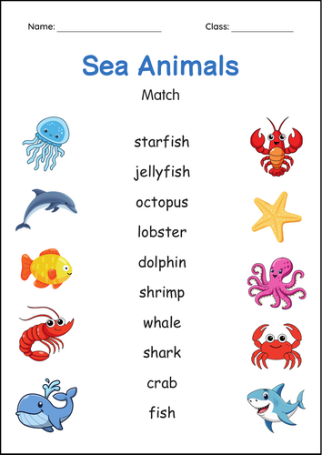 Printable Sea Animals Worksheets - Under the Sea Activity for Grade 1, 2, 3