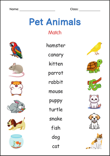 Printable Pets Animals Activity Worksheets for Grade 1, 2, 3