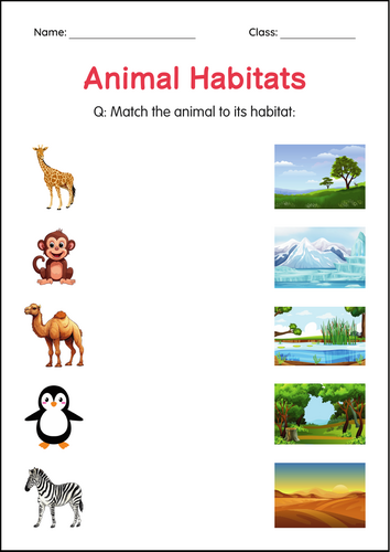 Printable Animal Habitats Worksheets - Habitat of Animals Activity for Grade 3