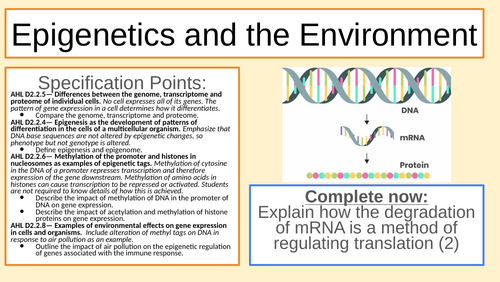 Epigenetics Lesson 2 IB HL/ALevel