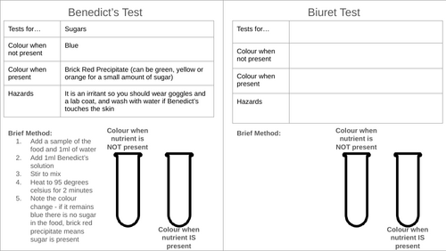 Food Tests Worksheet GCSE/MYP