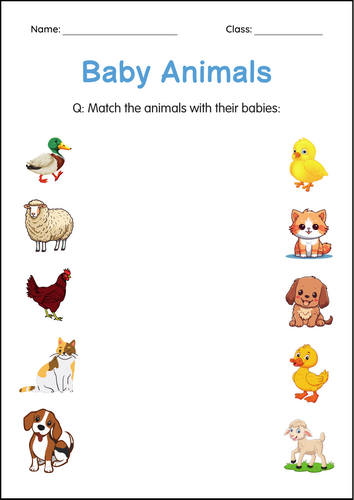 Printable Animals and Their Babies Activity Worksheets for Grade 1, 2, 3