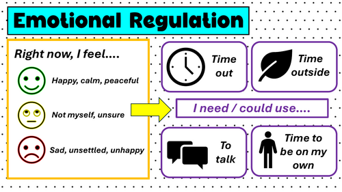 Emotional Regulation Worksheet