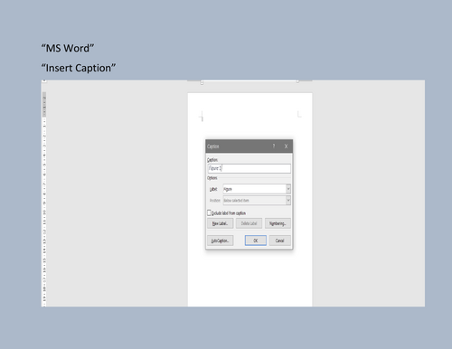 MS Word_insert caption