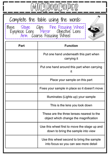 Microscopes KS3 Worksheet