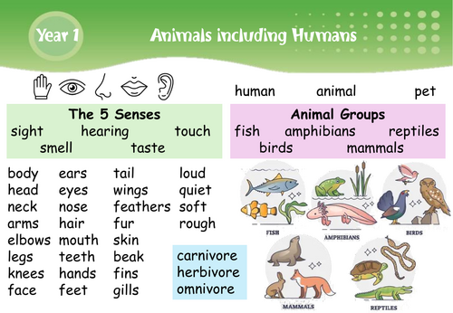 Primary Science Vocabulary