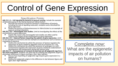 IB HL Gene Expression - Lac Operon & Oestrogen