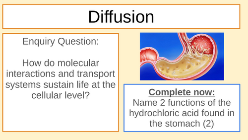 MYP/GCSE Bio Diffusion