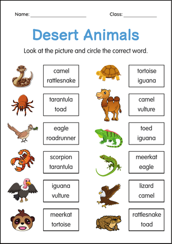 Printable Desert Animals Worksheets Activity for 1st 2nd Grade