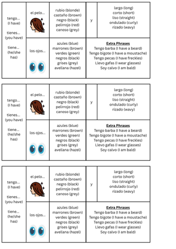 Physical Facial Descriptions