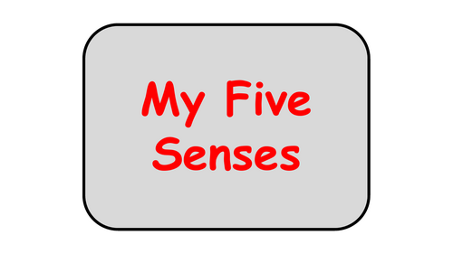 My Five Senses Display/ Stick-in Sheet