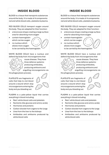 Inside Blood Summary Bookmark