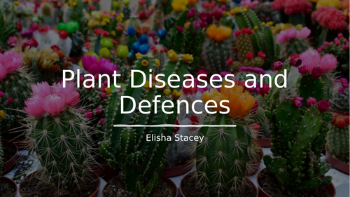 AQA GCSE Biology (Single Science) Lesson on Plant Diseases and Defences