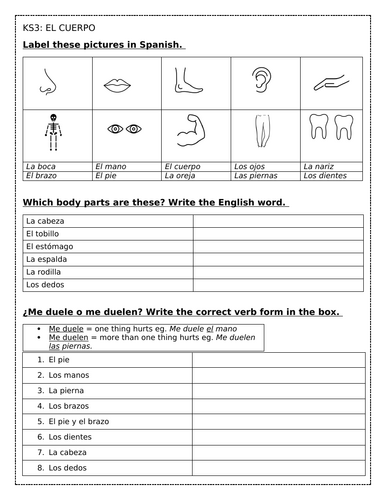 KS3 Spanish - el cuerpo / the body