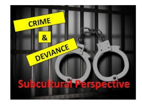 Subcultural views on crime