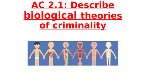 AC 2.1 Biological theories of crime