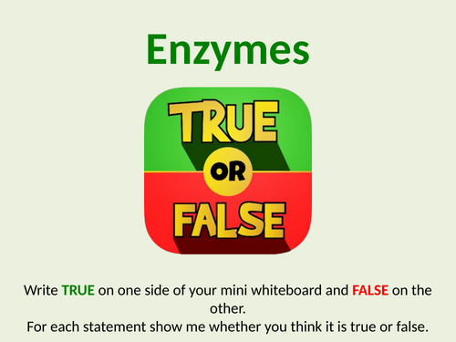 Enzymes Revision Quiz