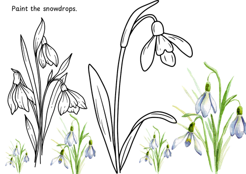 Paint the snowdrops