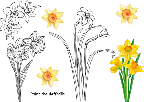 Paint the daffodils