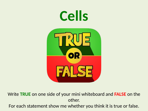 Cells Revision Quiz