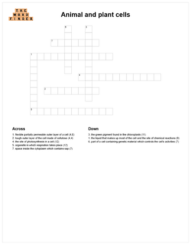 Animal and plant cells crossword