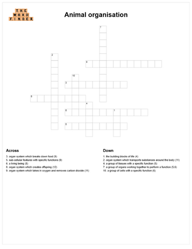 Animal organisation crossword