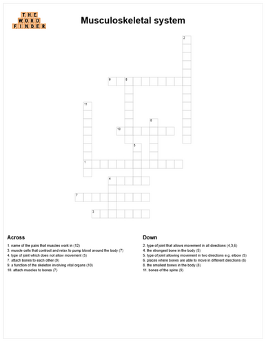 Musculoskeletal system crossword