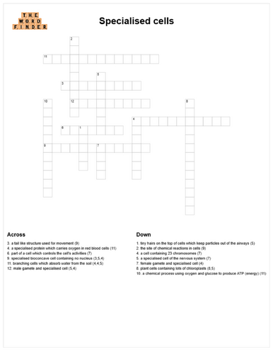 Specialised cells crossword