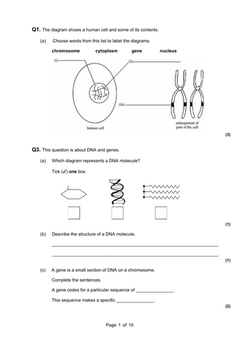 DNA Structure