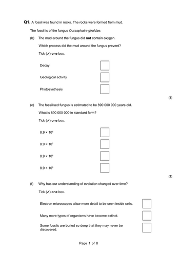 Standard Form and the Fossil Record