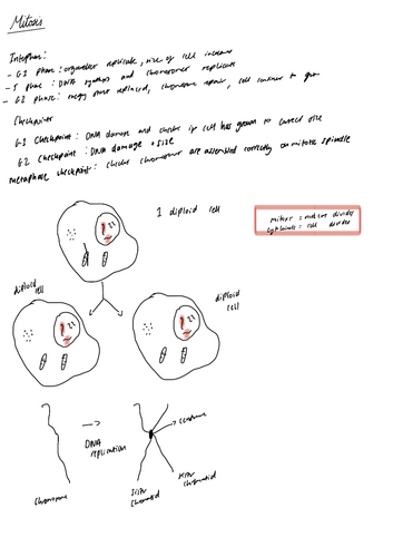 AS biology SNAB Topic 1and 2