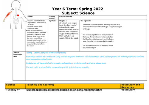 Circulatory system planning  Year 6