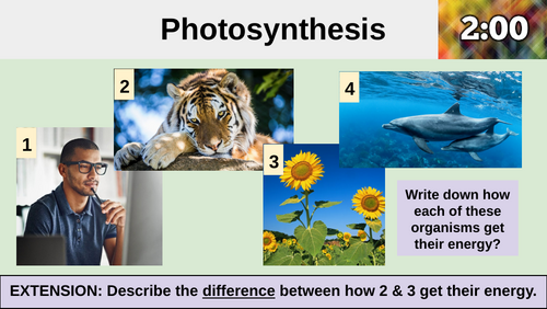 Photosynthesis Intro Lesson