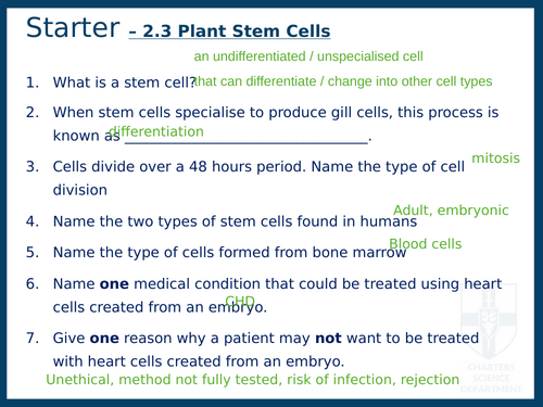 Plant Stem Cells